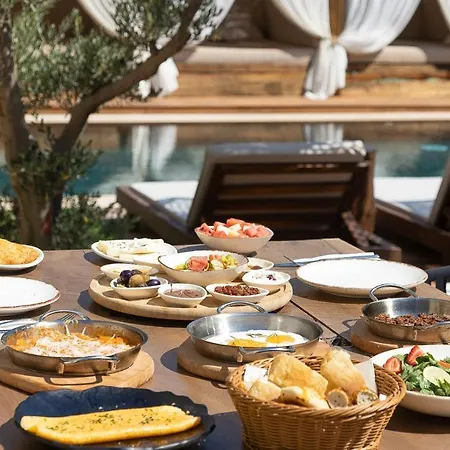 Asha Alacati Чешме